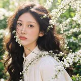 Li Qing He as Hu Shi A profile photo