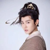 Wang Yu Feng profile photo