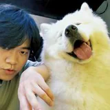 Xiao Yang as Zheng Yi Wei profile photo