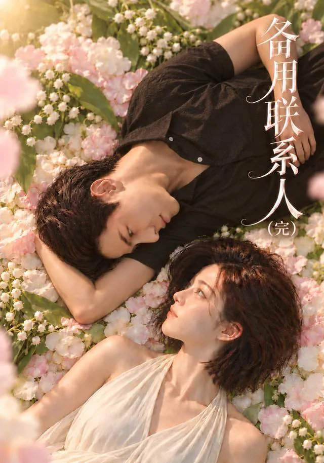 The Backup Contact short-drama poster