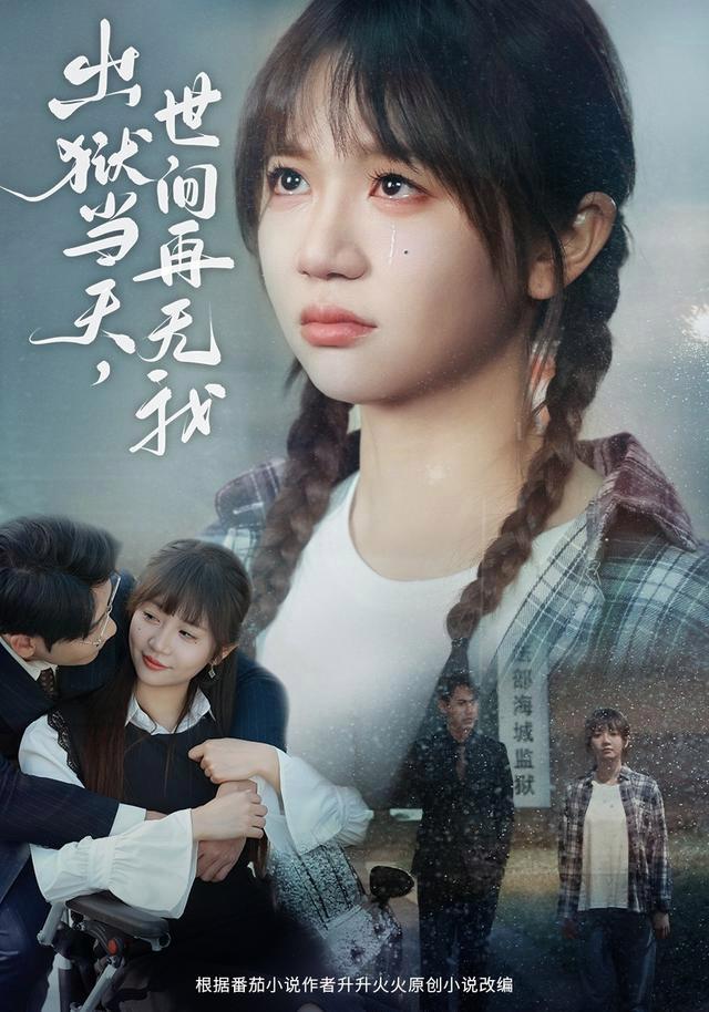 On the Day of Release, I Vanished from the World short-drama poster