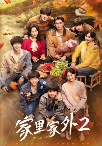 《家里家外2》短剧海报