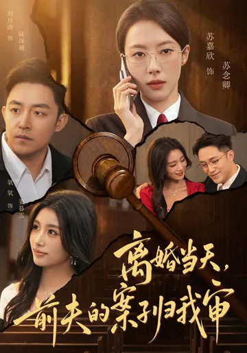 《离婚当天，前夫的案子归我审》短剧海报