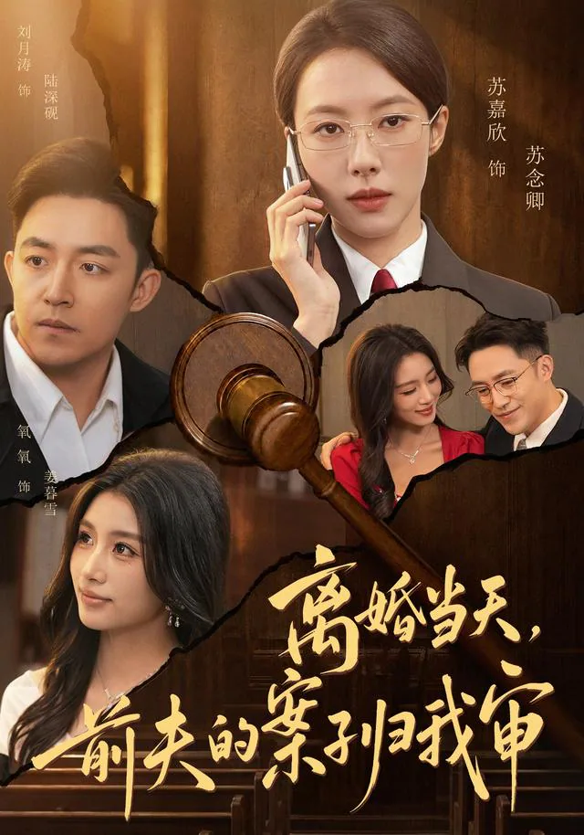 On Divorce Day, My Ex's Case Reaches My Court short-drama poster
