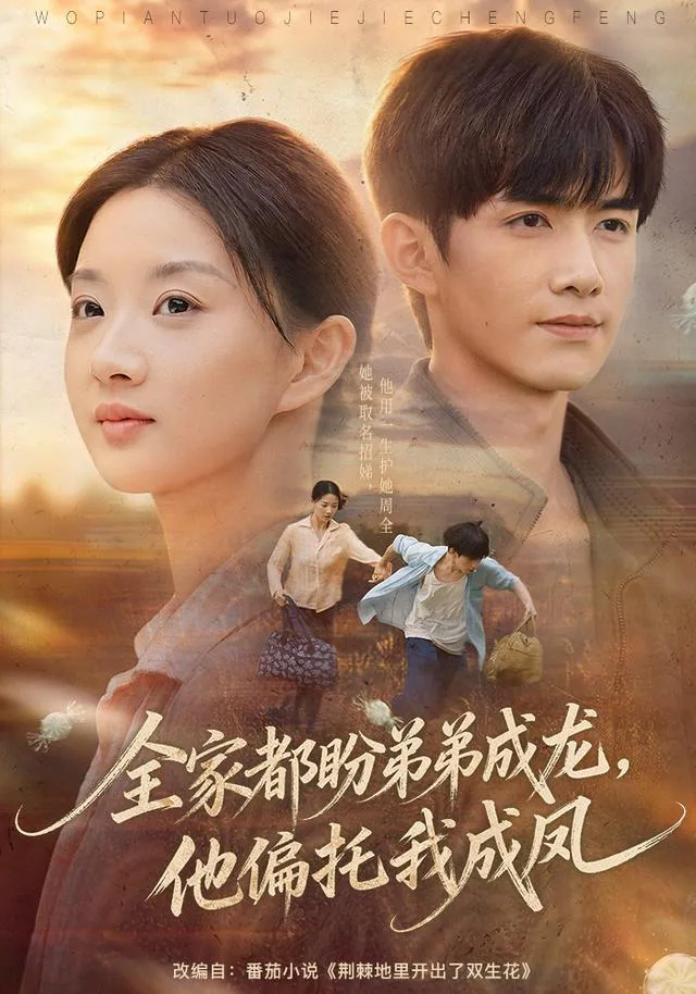 Everyone Wanted a Successful Son; He Backed His Sister short-drama poster