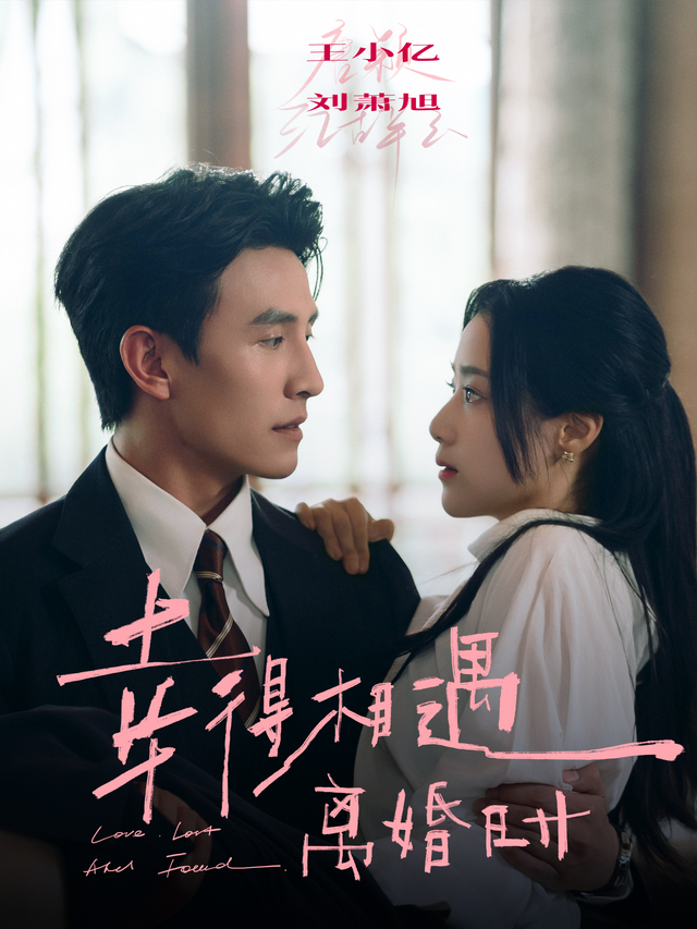Meeting at Divorce short-drama poster