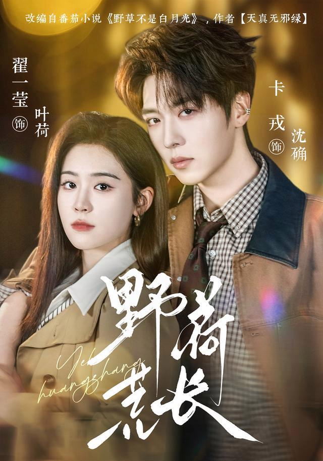 Wild Lotus Grows Wild short-drama poster