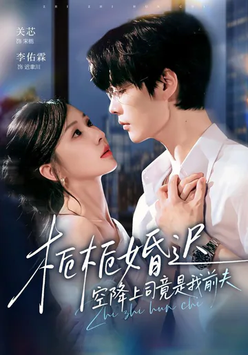A Late Marriage for Zhizhi: My New Boss Is My Ex-Husband short-drama poster