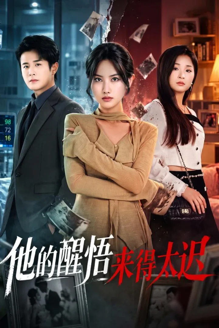 His Realization Came Too Late short-drama poster