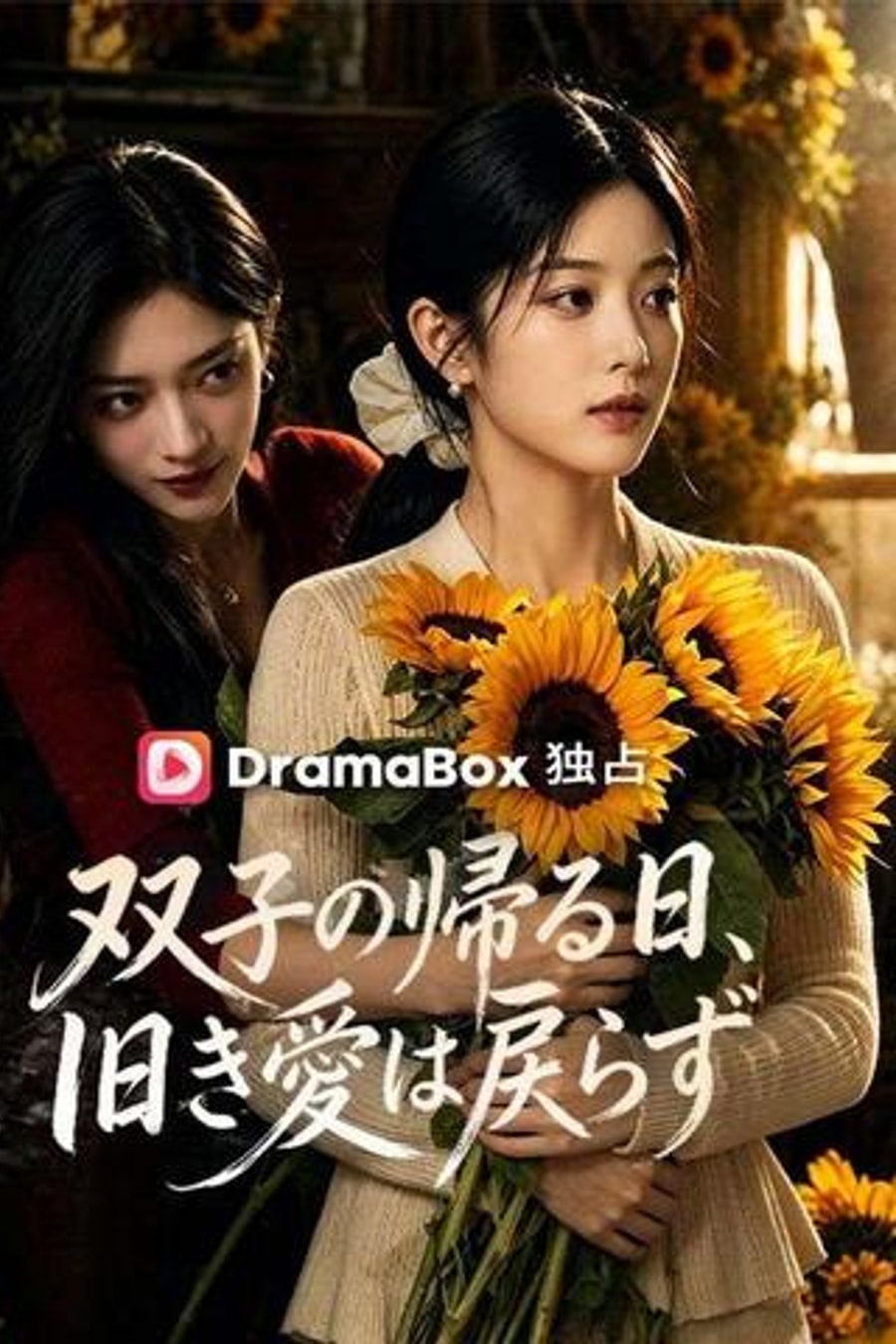 When the Twin Returns, Love Is Gone short-drama poster